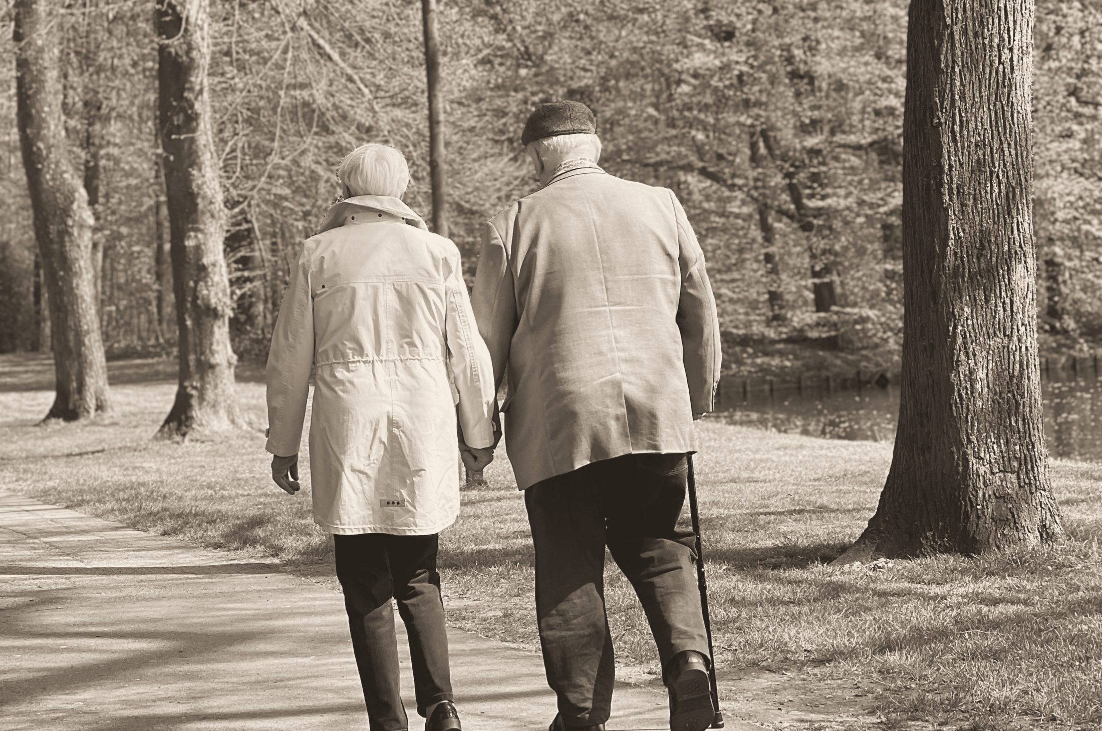 Pareja de adultos mayores caminando de espaldas por un parque